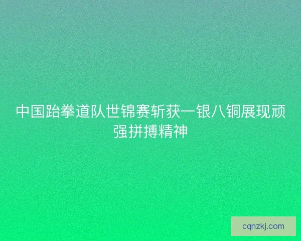 中国跆拳道队世锦赛斩获一银八铜展现顽强拼搏精神