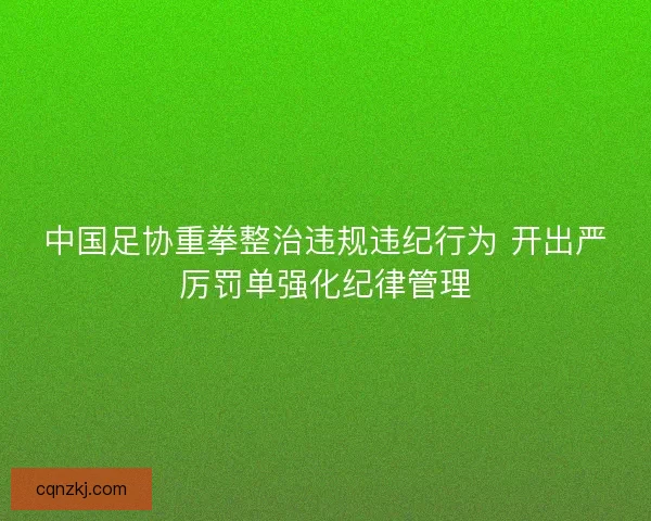 中国足协重拳整治违规违纪行为 开出严厉罚单强化纪律管理 中国足协重拳整治违规违纪行为 开出严厉罚单强化纪律管理